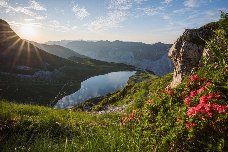 Bergsee mit blühenden Blumen, Bergfotografie im Zuge eines Fotoworkshop