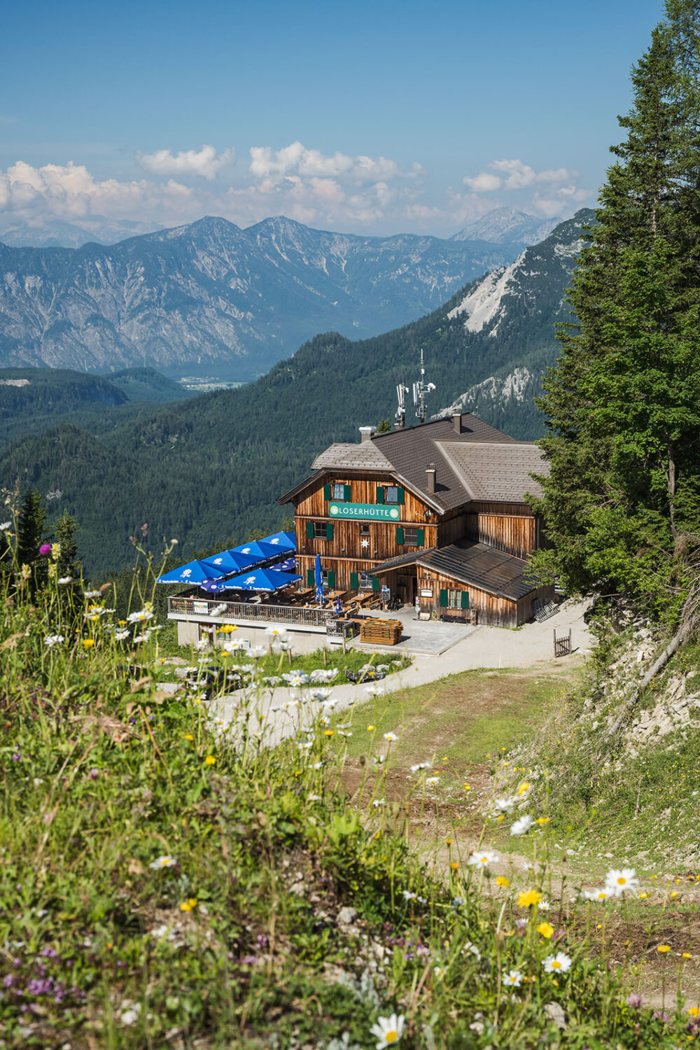 Almhütte in den Bergen, blühende Wiesen